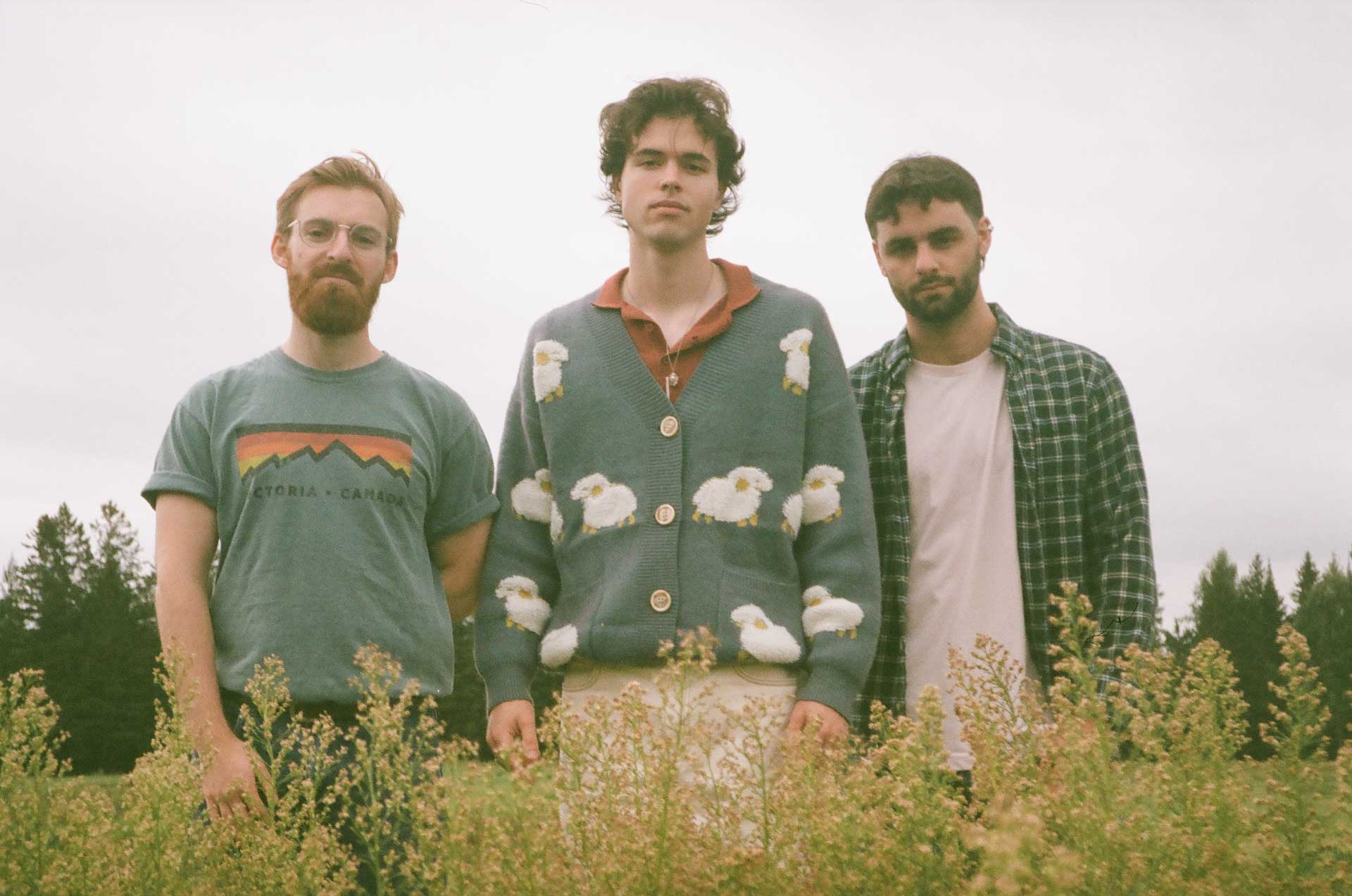 Ivytide